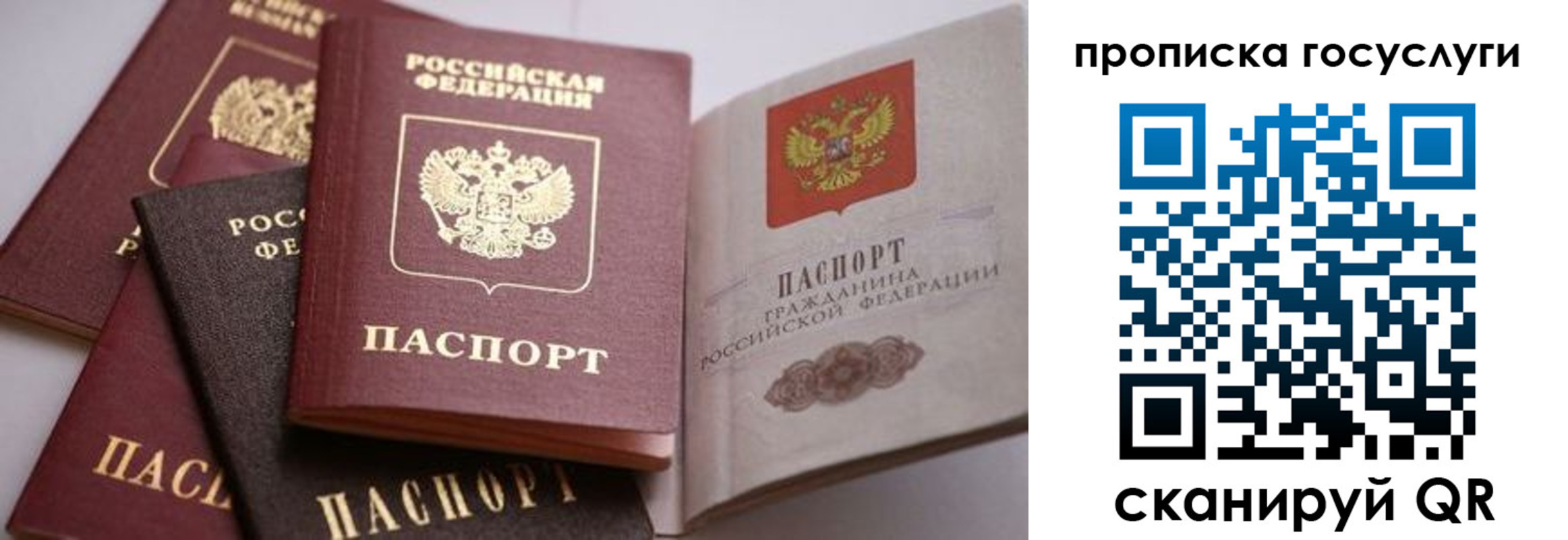 прописка иностранных граждан в Курганинске