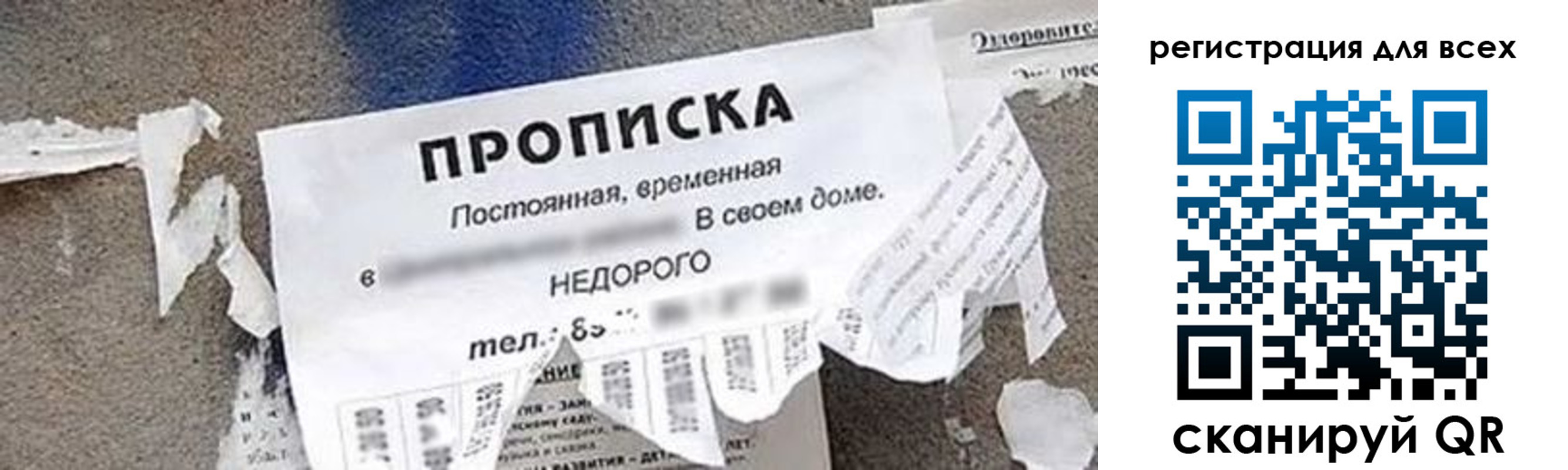 прописка поиск в Курганинске